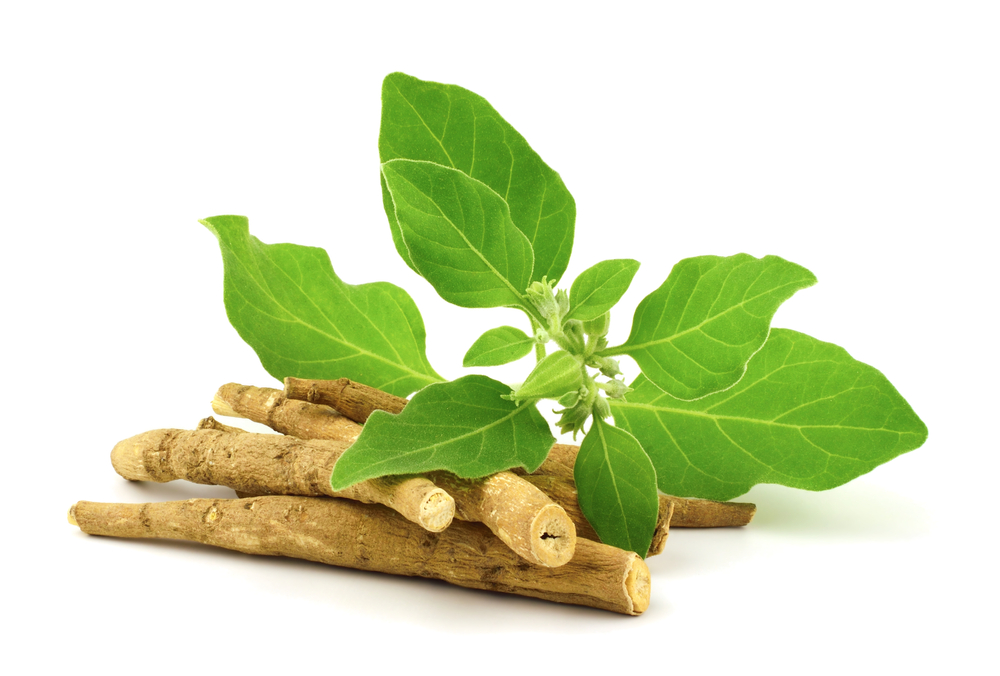 Benefits of ashwagandha